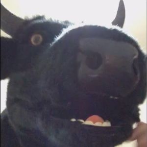 Meet your Posher, Karly